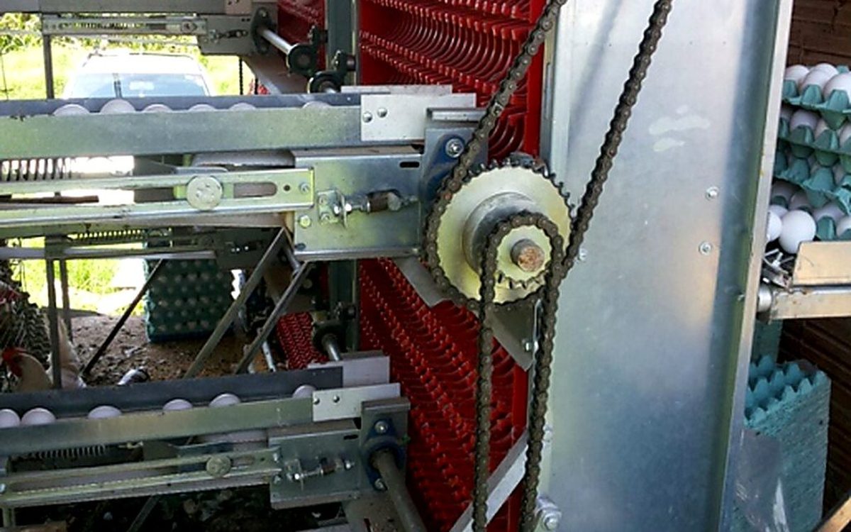 Coletor automatizado de ovos UTIPEC com esteira e bandejas